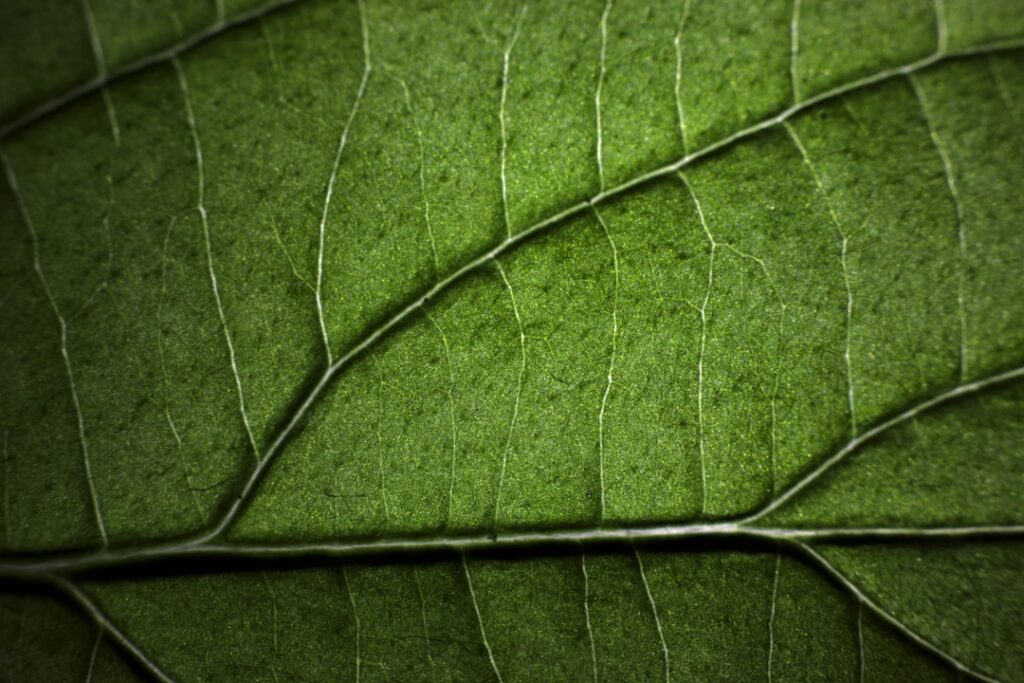 Photo sustainability reporting