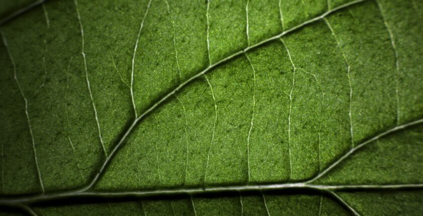 Photo sustainability reporting
