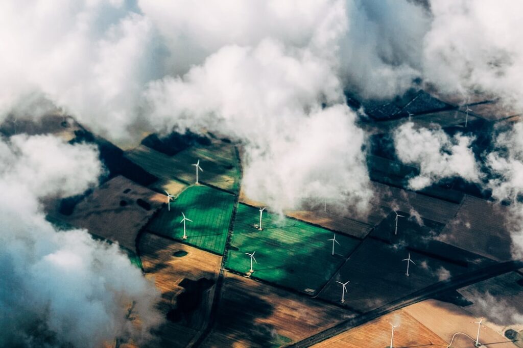 Photo Sustainability