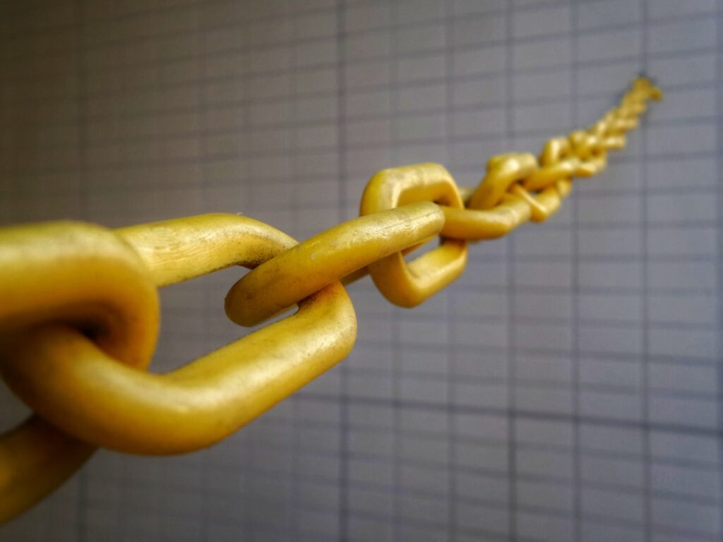 Photo value chain