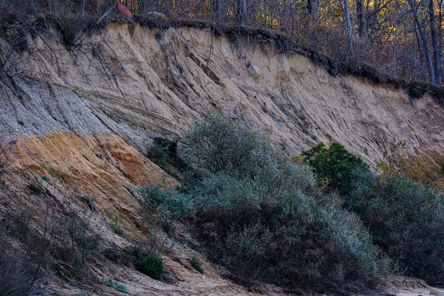 Photo transition risk