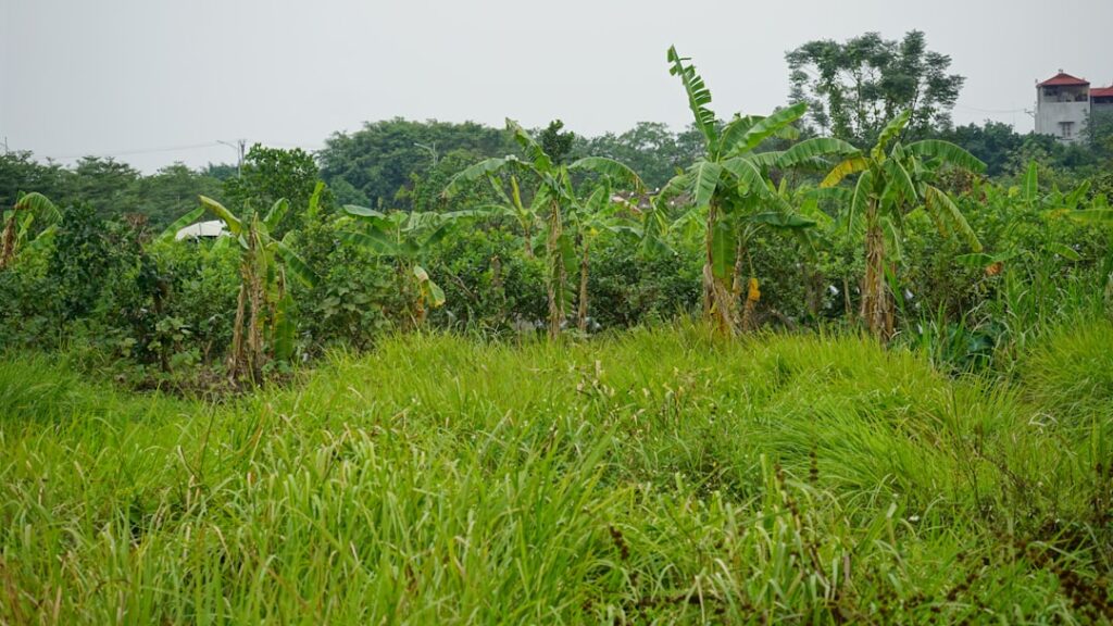 Photo sustainable development commissions