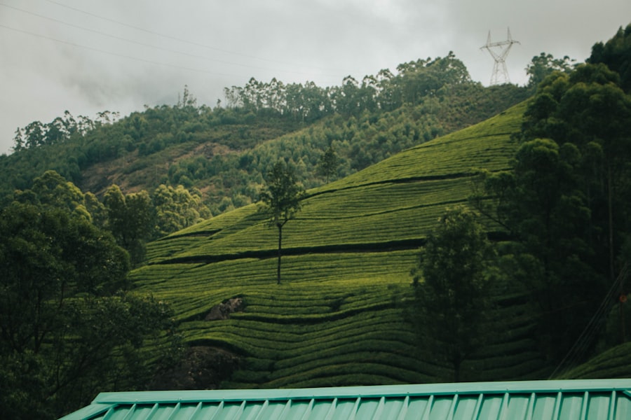 Photo Sustainability governance