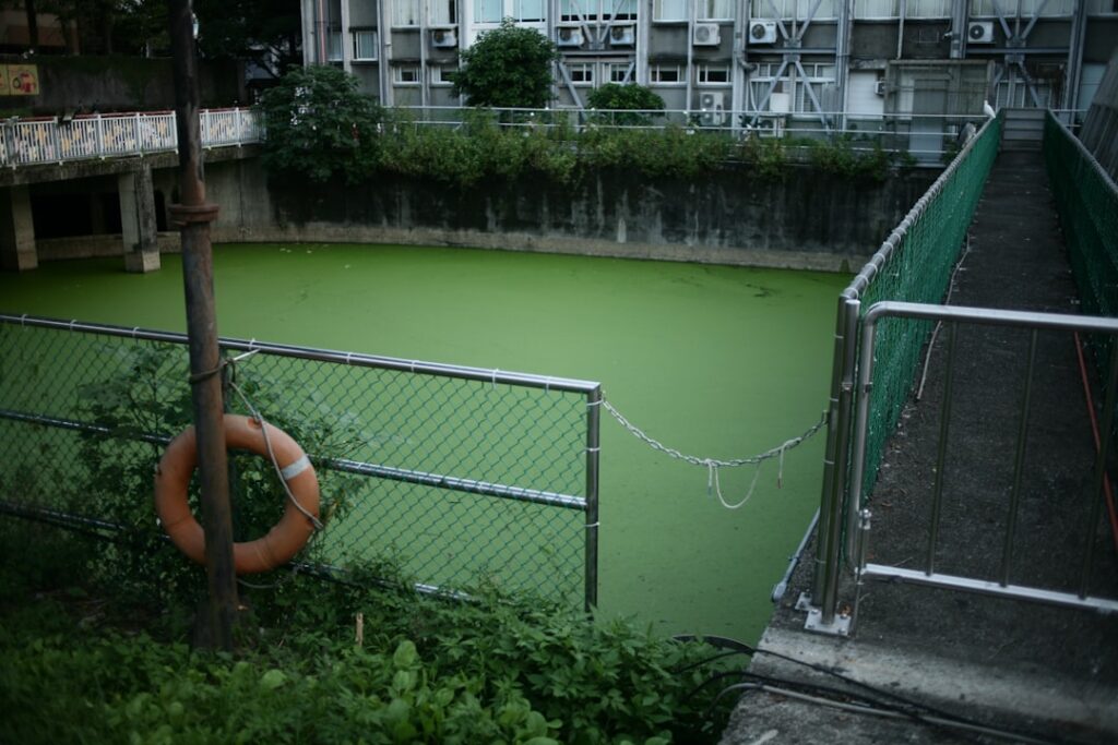 Photo greenwashing