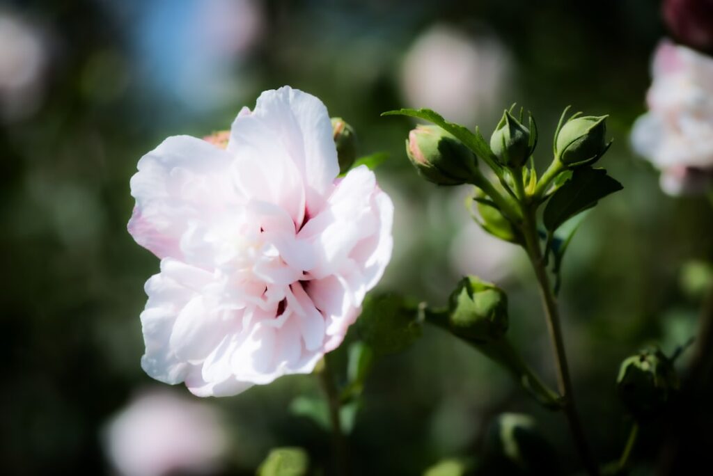 Photo environmental sensitivity