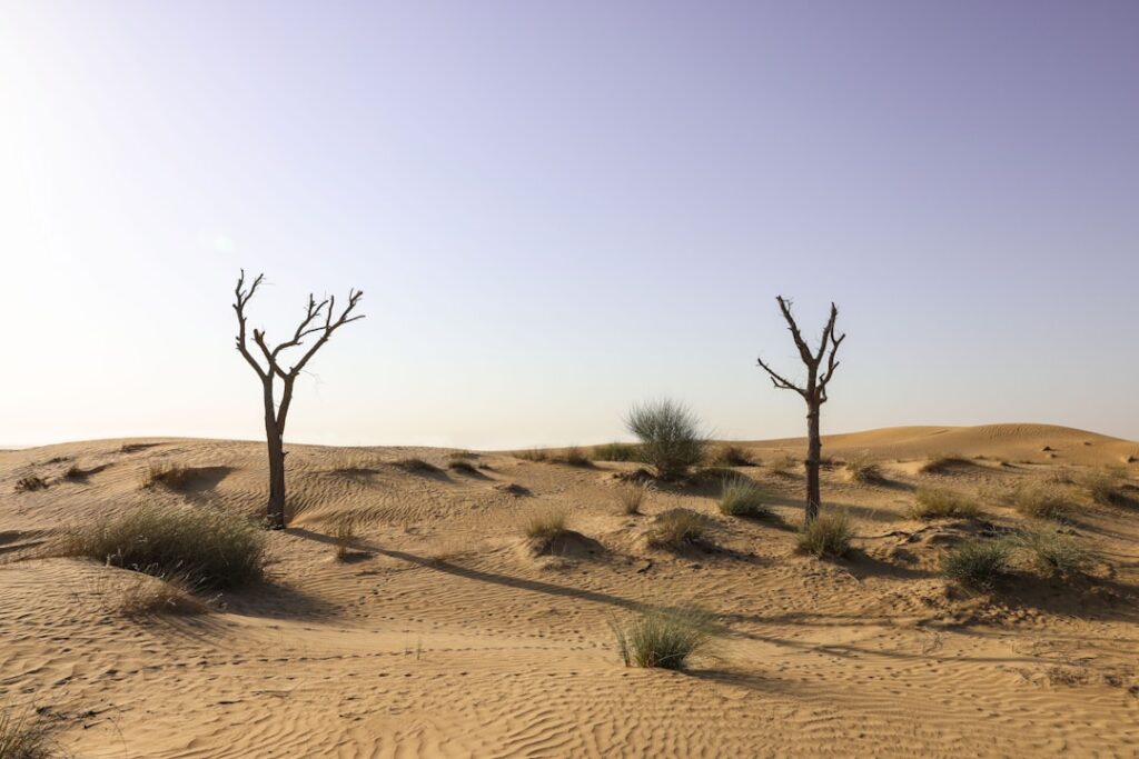 Photo transition climat