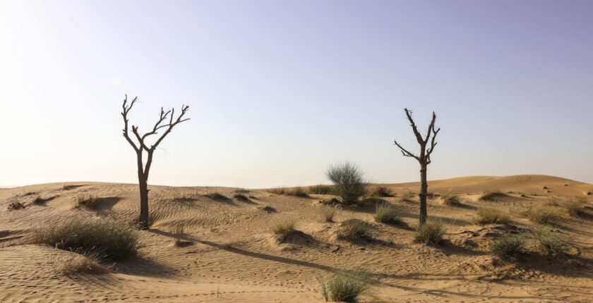 Photo transition climat