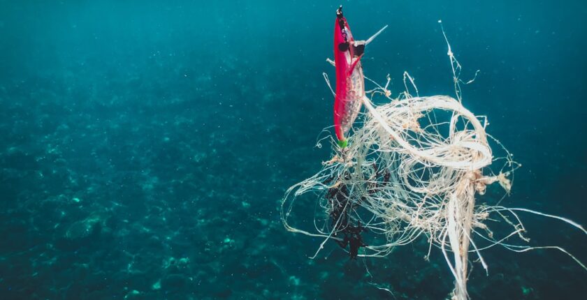 Photo sustainable investments