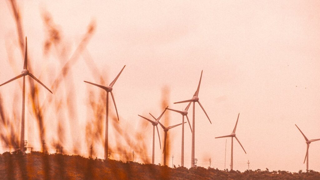 Photo sustainability risks
