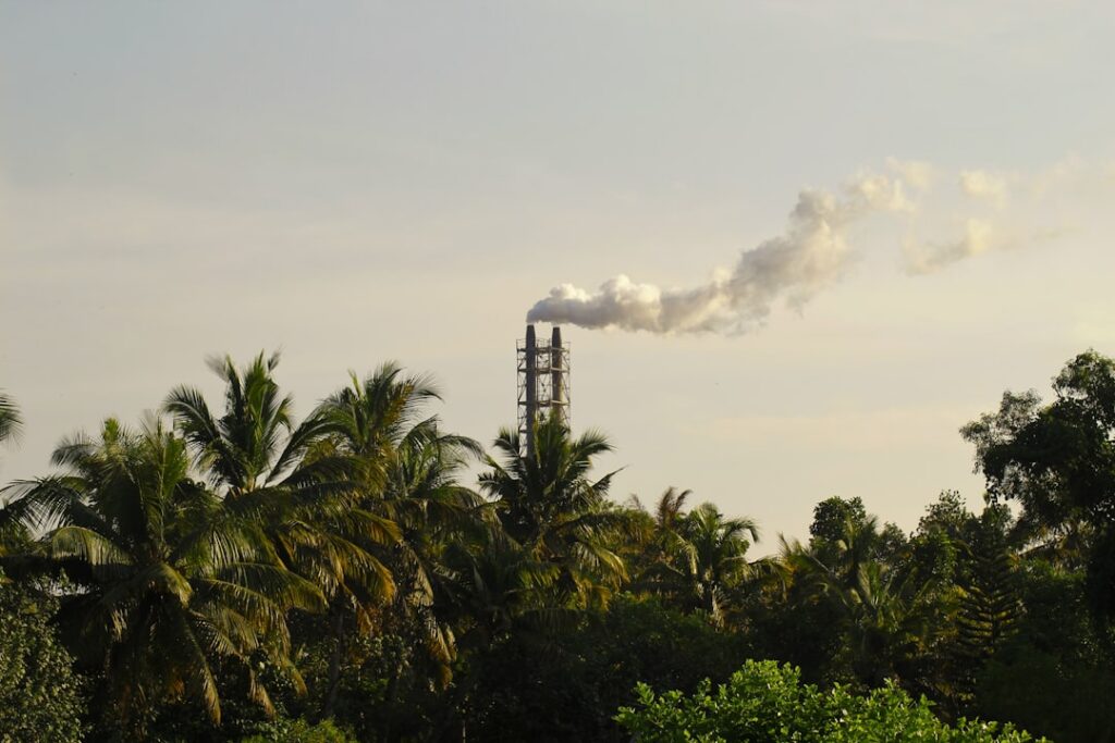 Photo carbon neutrality