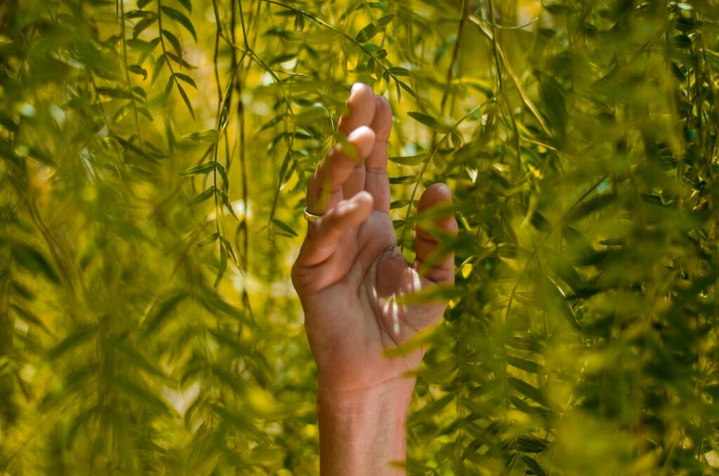 Photo sustainability