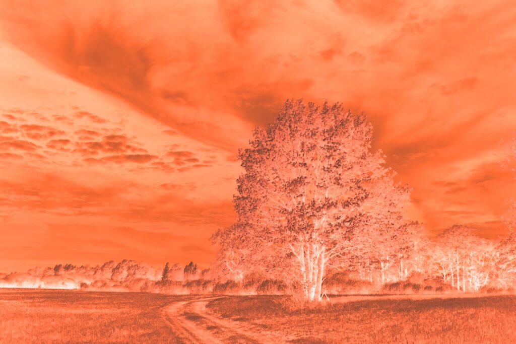 Photo climatic data