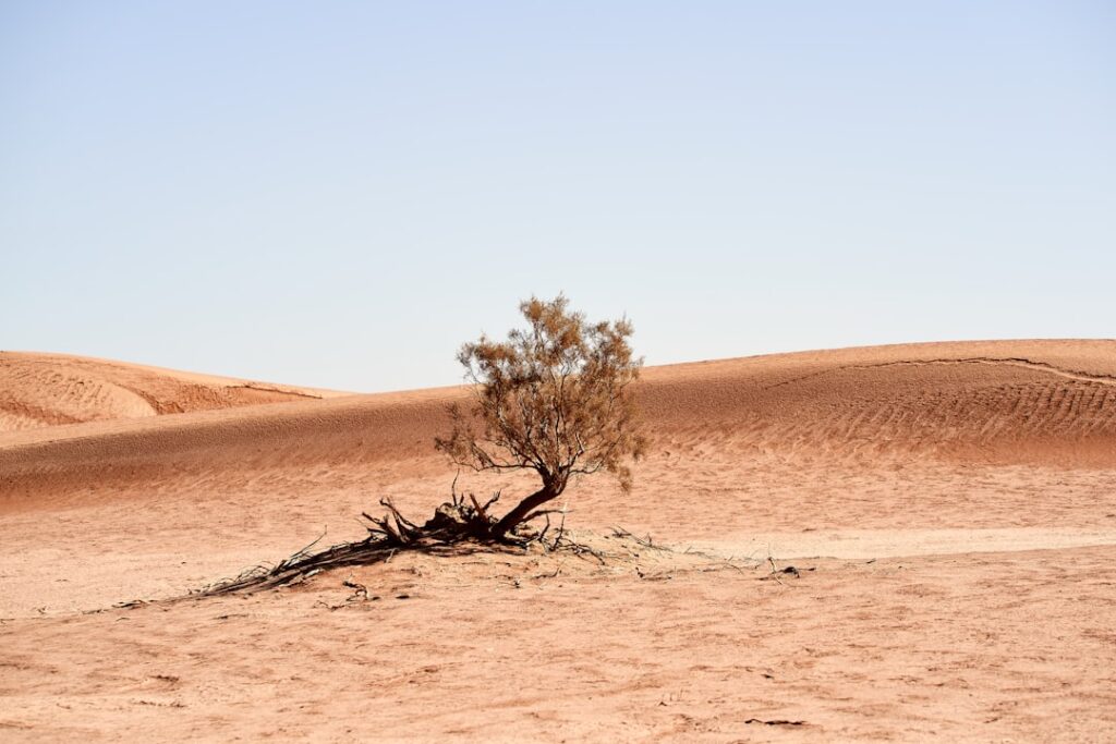 Photo transition climat