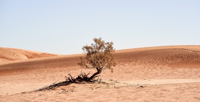 Photo transition climat