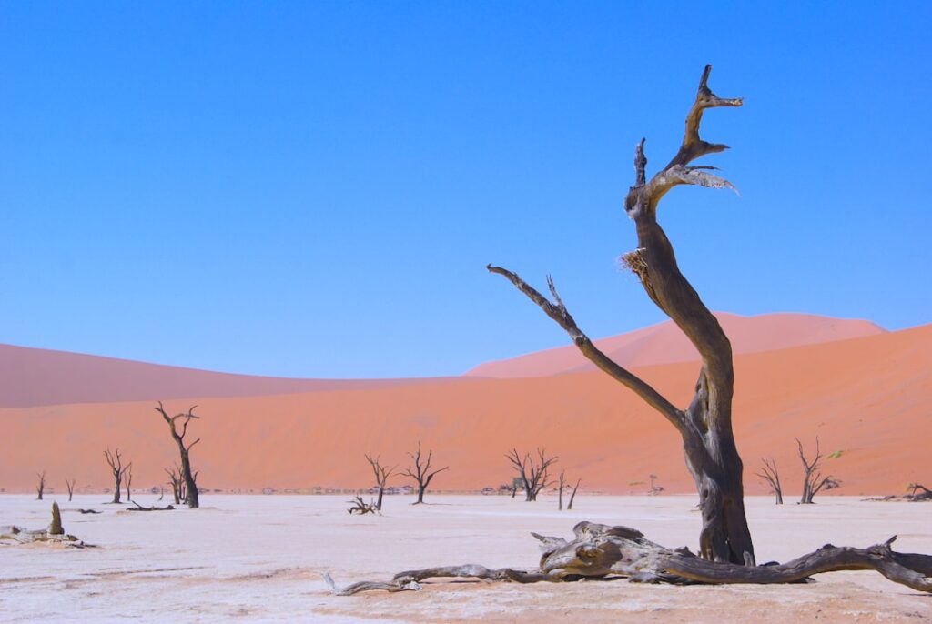Photo transition climat