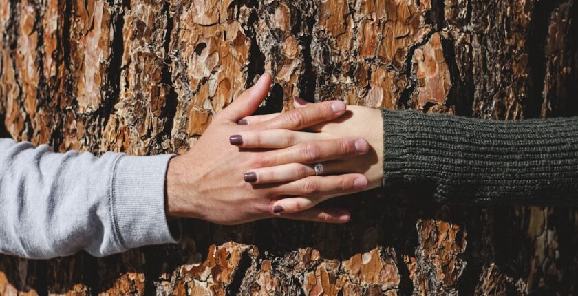 Photo Convergence assurance