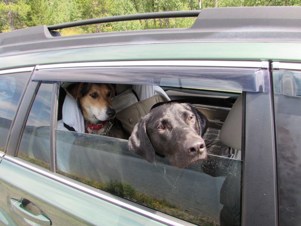 Photo carpooling