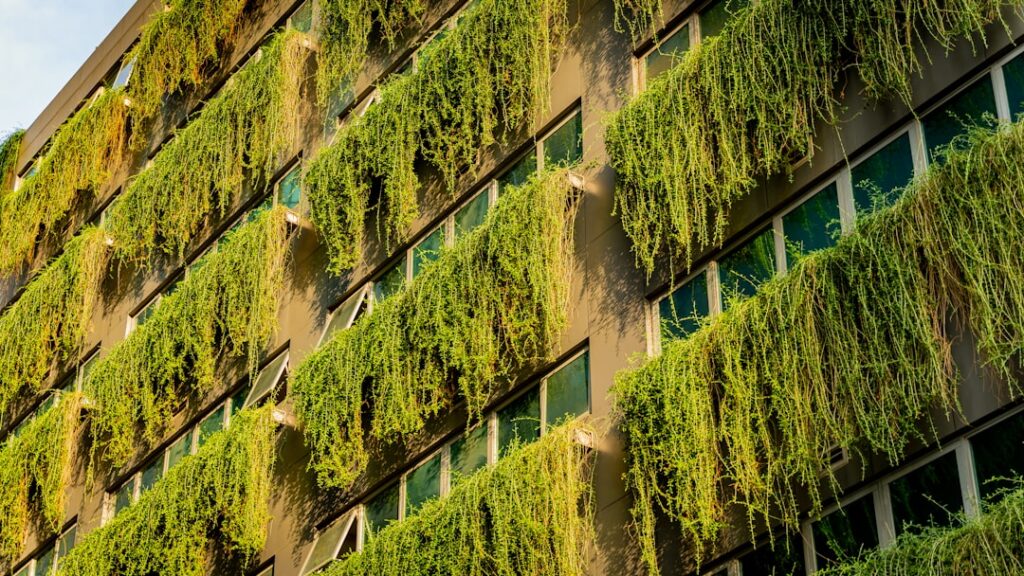 Photo sustainability report
