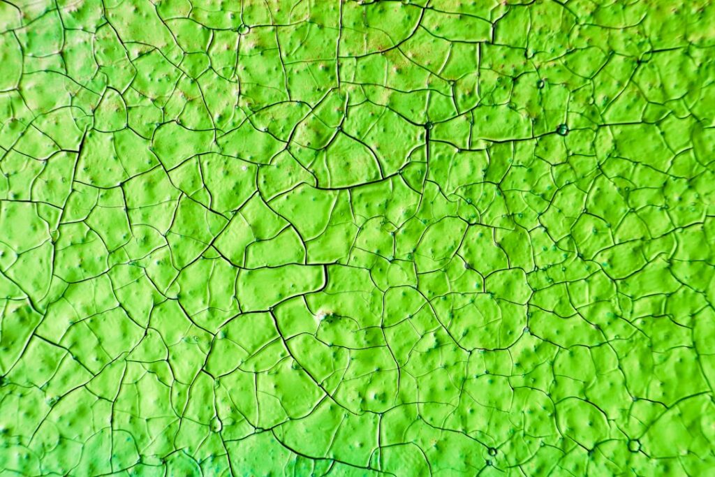 Photo sustainability risk mapping