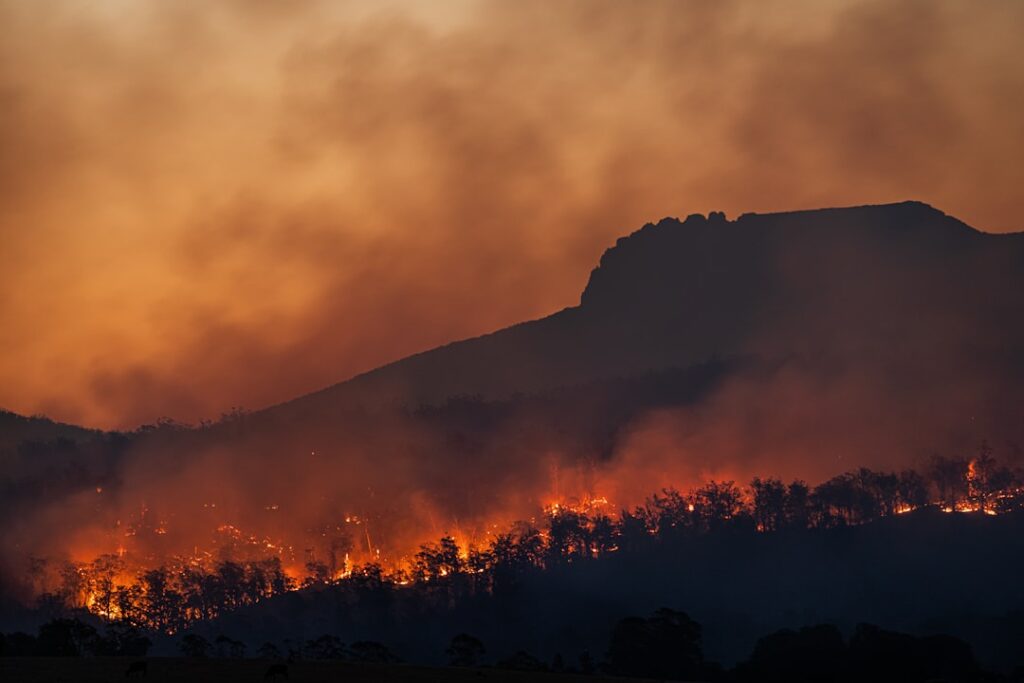Photo climate change