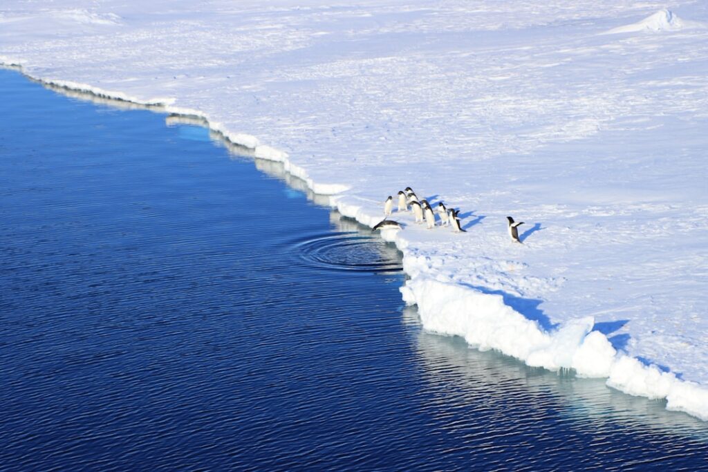 Photo federations accompaniment climate trajectory