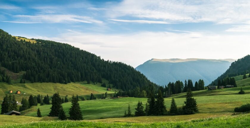 Photo eco-conditionality