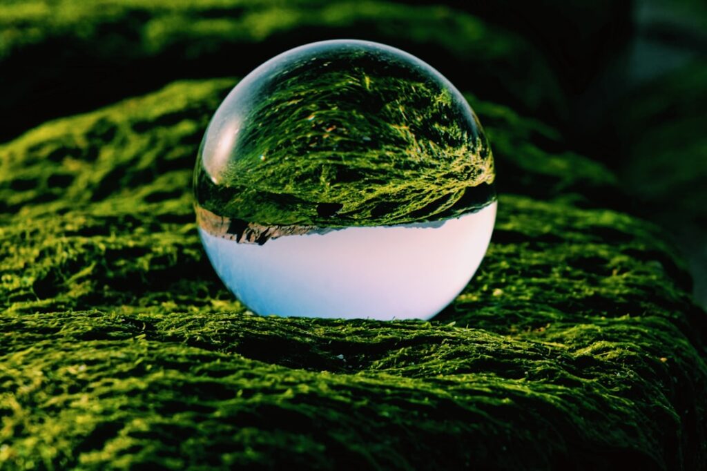 Photo sustainability governance