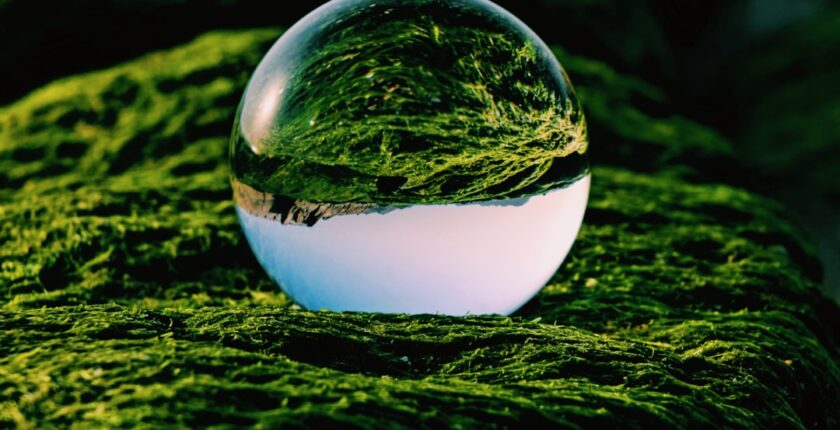 Photo sustainability governance