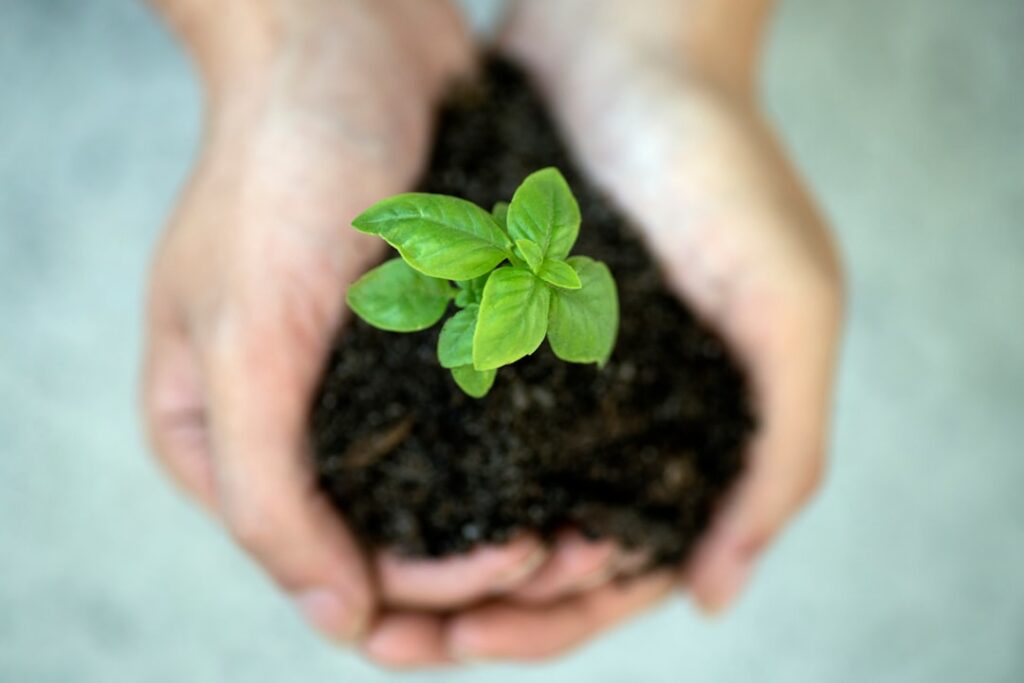Photo Sustainability
