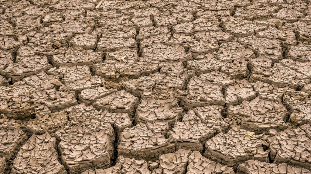 Photo climatic risk management