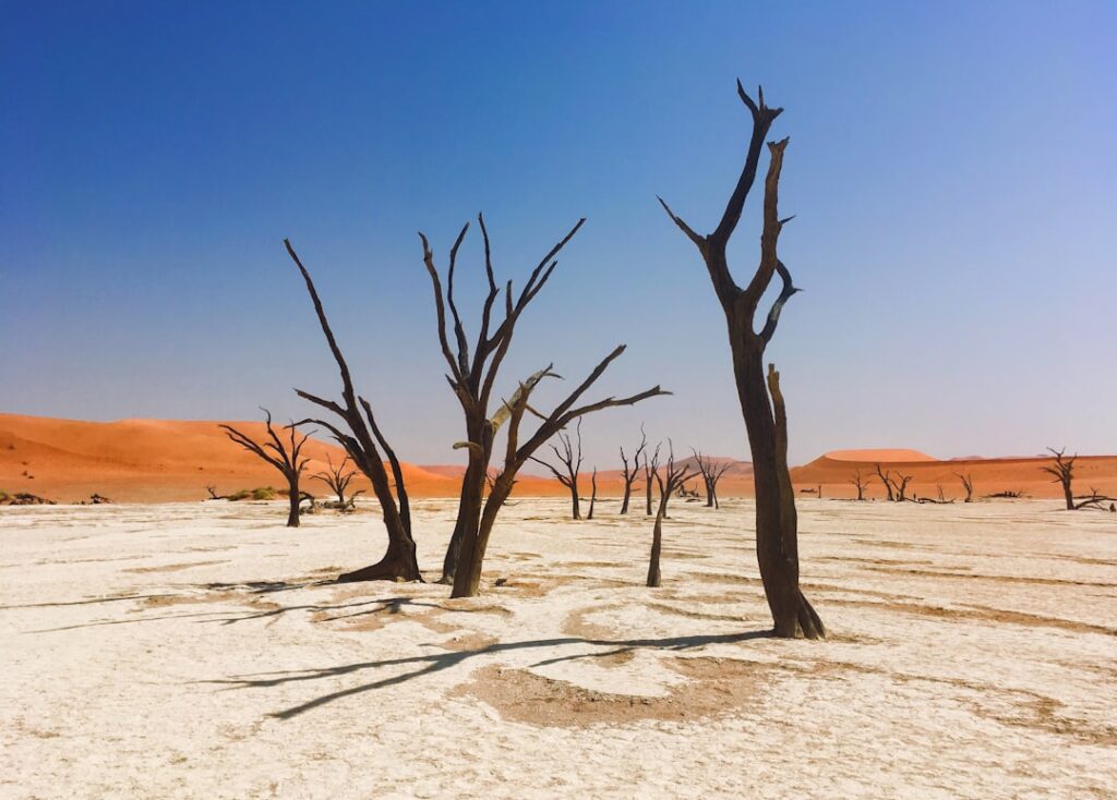 Photo transition climat