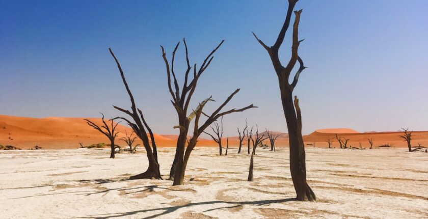 Photo transition climat