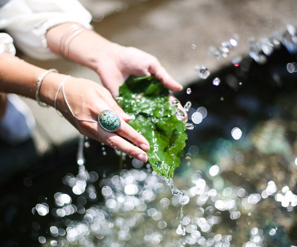 Photo greenwashing