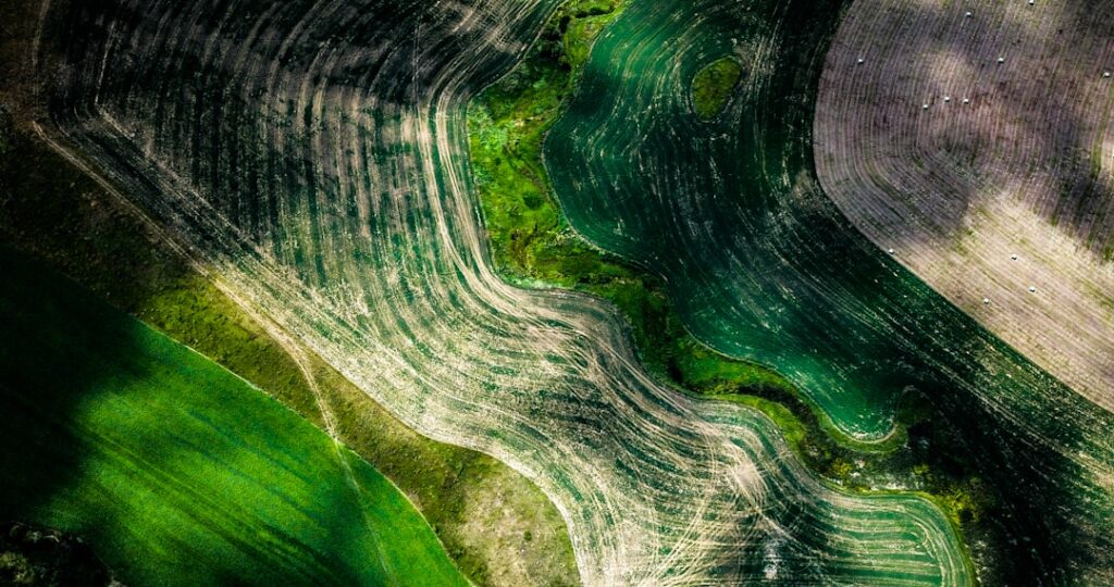 Photo governance of climate data