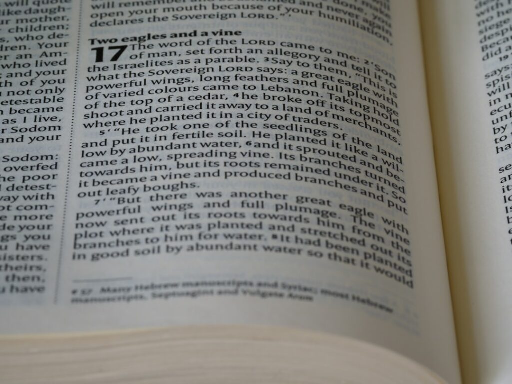 Photo Taxonomy