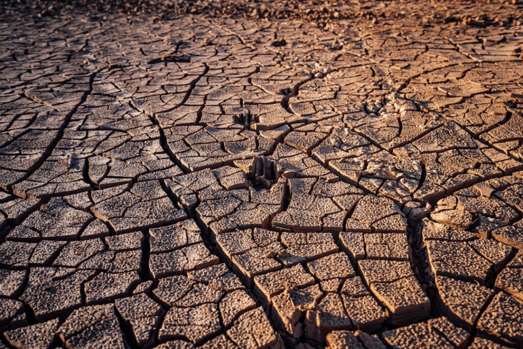 Photo climatic risk management