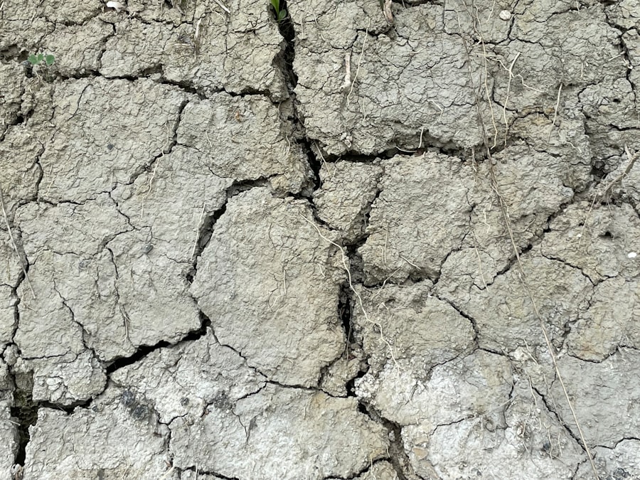 Photo climatic risk management