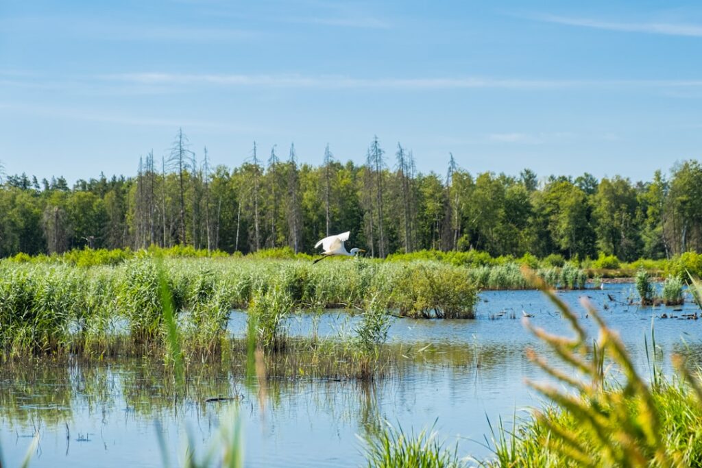 Photo biodiversity