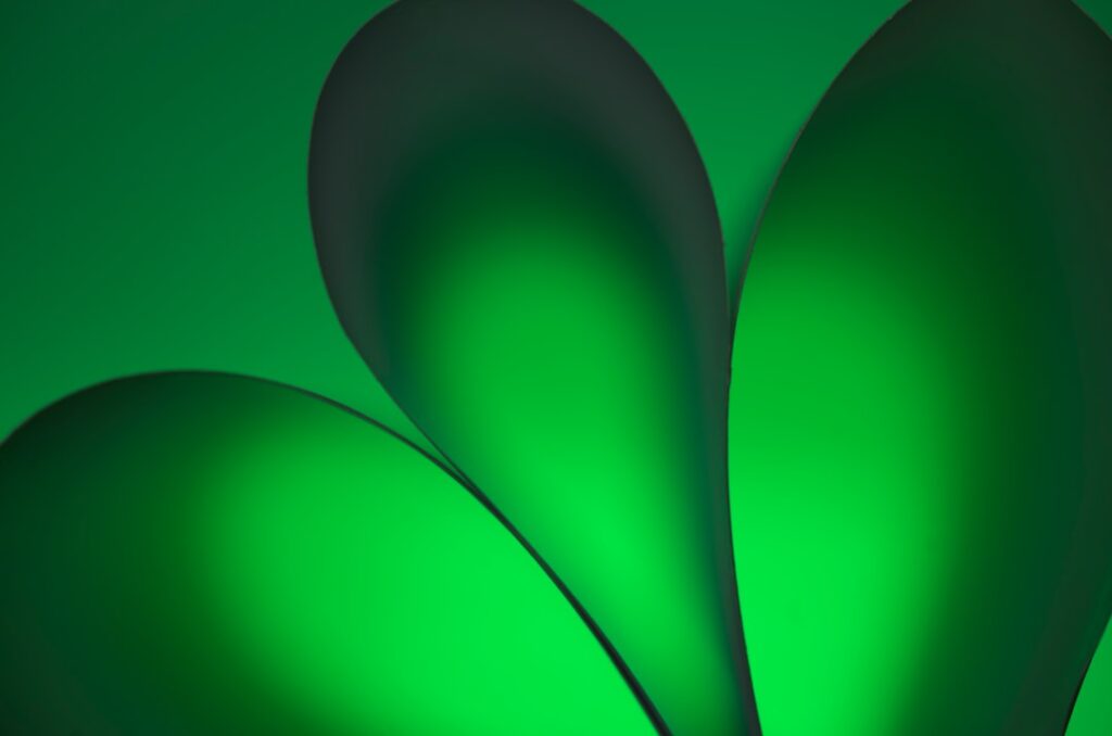 Photo Green obligations