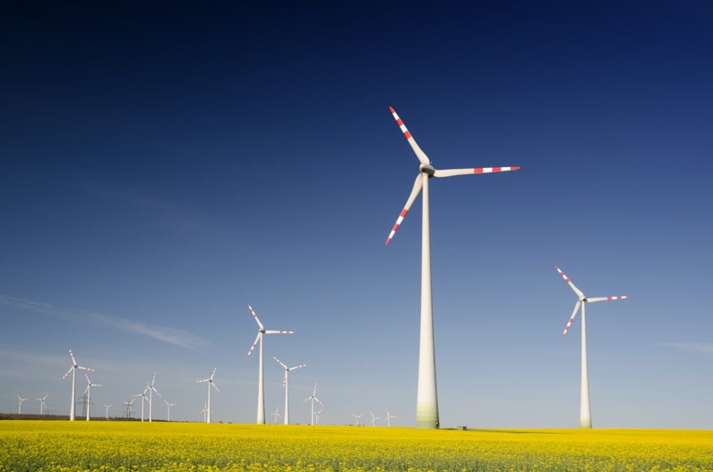 Photo sustainability