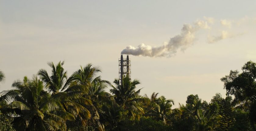 Photo decarbonization