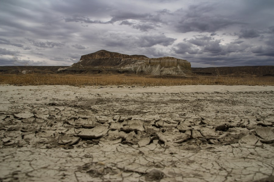 Photo climate risk management