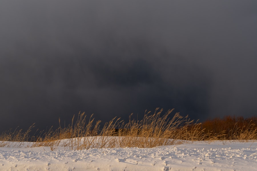 Photo ORSA climatique