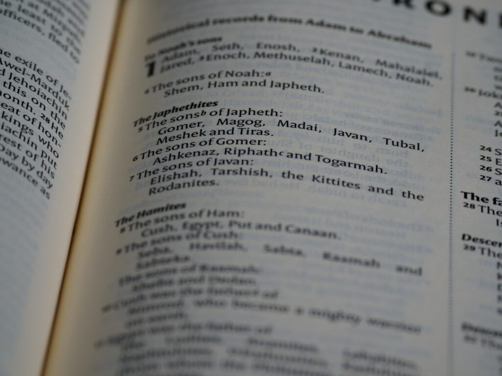 Photo Taxonomy