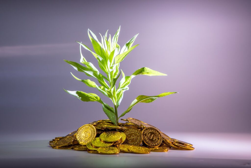 Photo digital insurance ecosystems