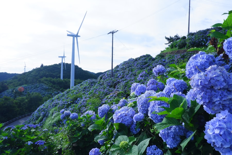 Photo sustainability report