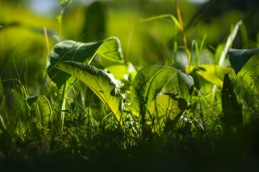 Photo sustainability report