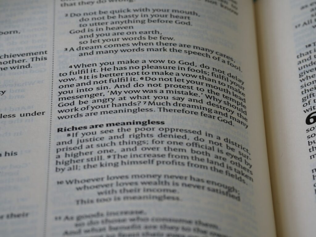 Photo Taxonomy