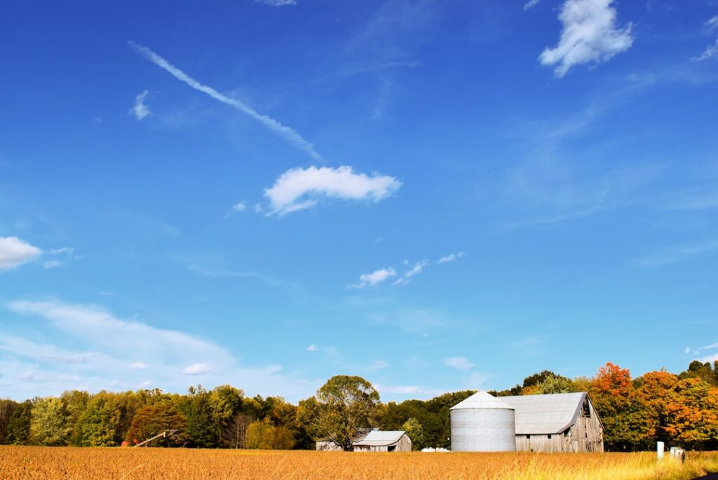 Photo Agricultural insurance