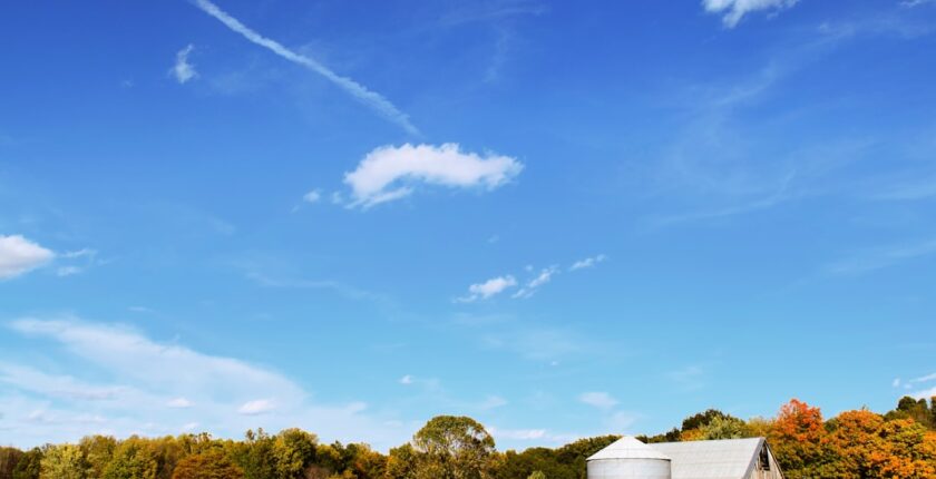 Photo Agricultural insurance